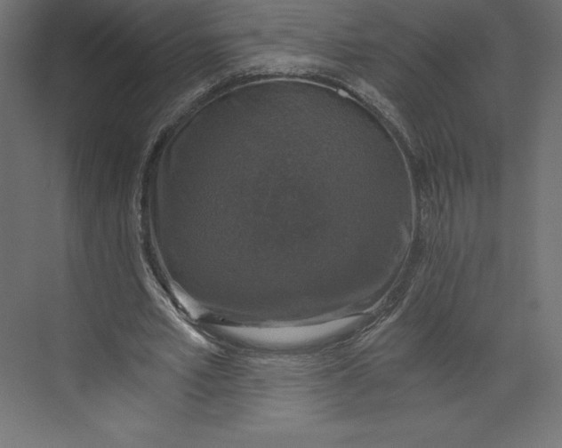 X0000073390581200608181006