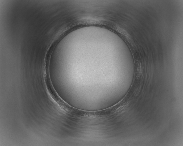 X0000073390582200608181006