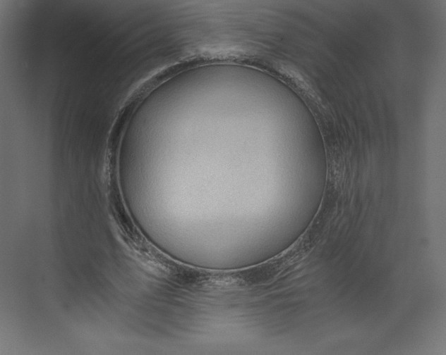 X0000073390583200608181005