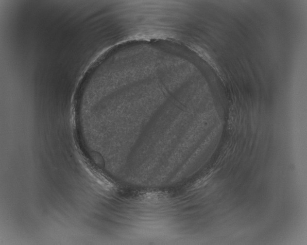 X0000073390584200608181005