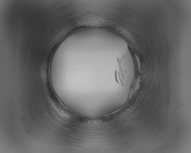 X0000073390586200608181005