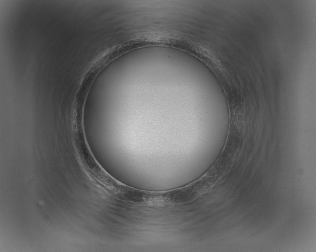 X0000073390587200608181005