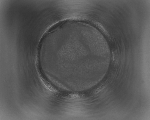 X0000073390588200608181005