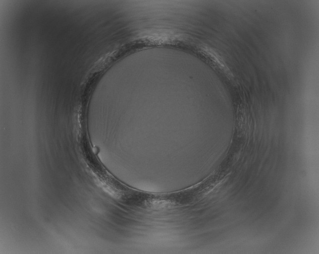 X0000073390590200608181005