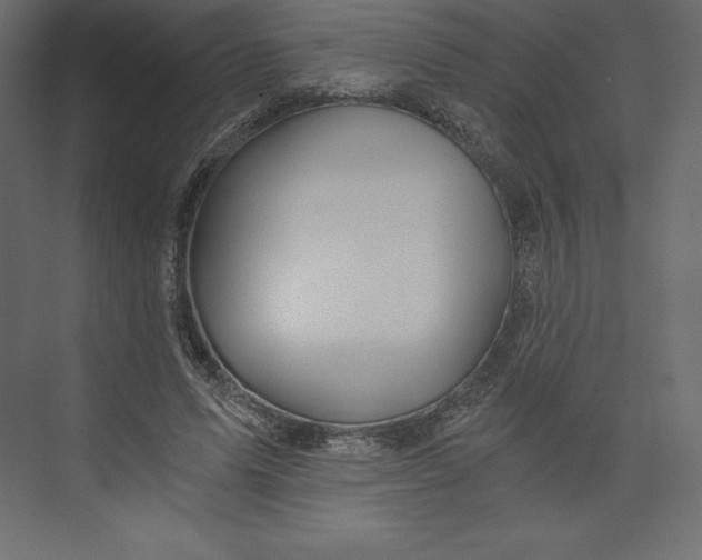X0000073390591200608181005