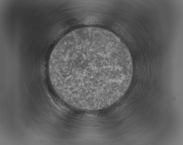 X0000073390592200608181005