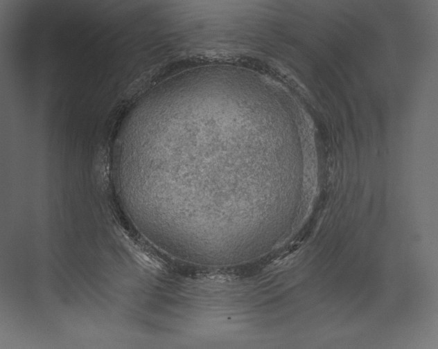 X0000073390593200608181005