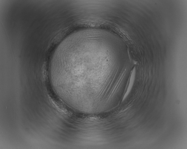 X0000073390594200608181005