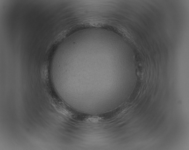 X0000073390595200608181005