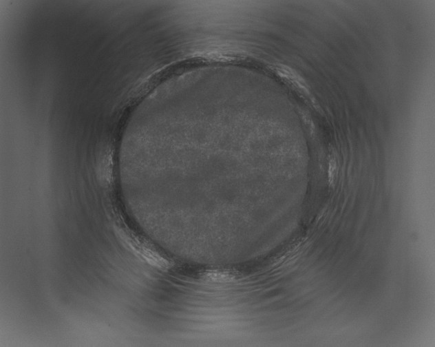 X0000073390596200608181005