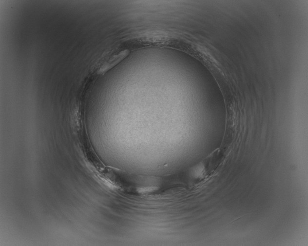 X0000073390597200608181005