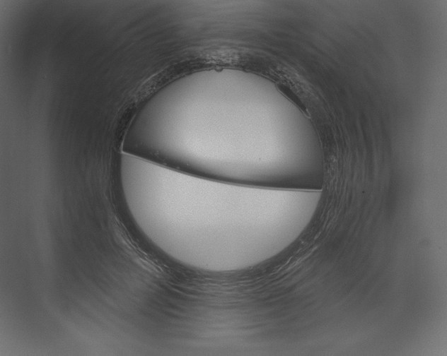 X0000073390600200608181005