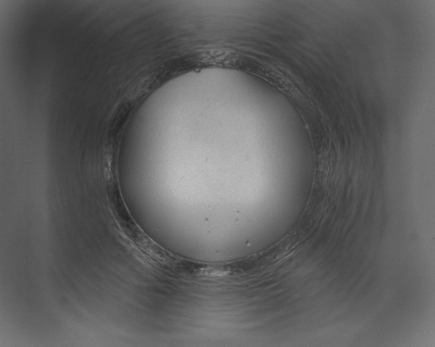 X0000073390602200608181005