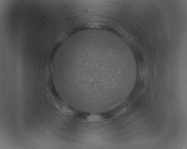 X0000073390603200608181005