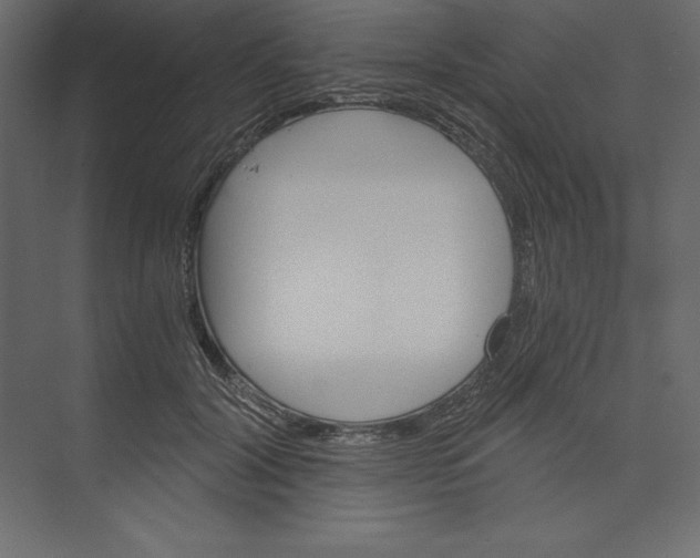 X0000073390604200608181005
