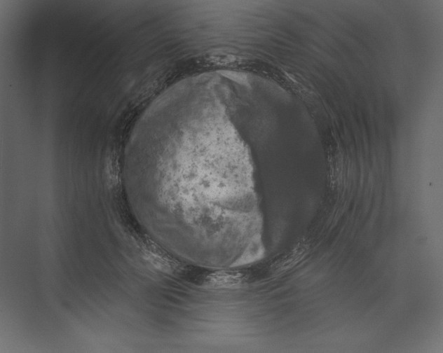 X0000073390606200608181005