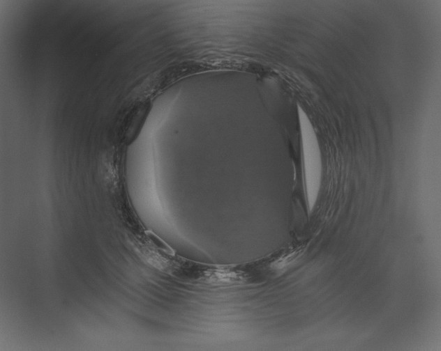 X0000073390607200608181005