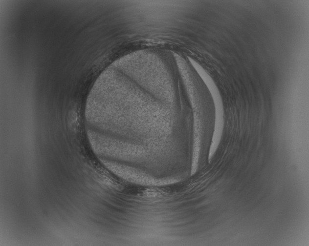 X0000073390608200608181005
