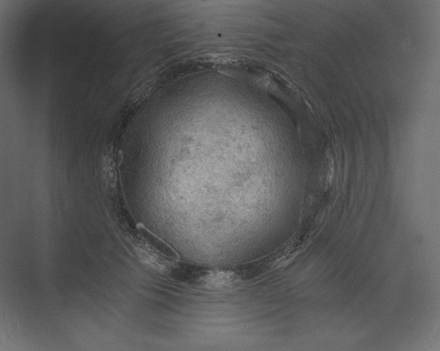 X0000073390609200608181005