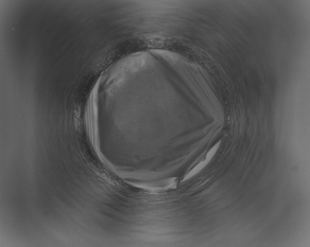 X0000073390610200608181005