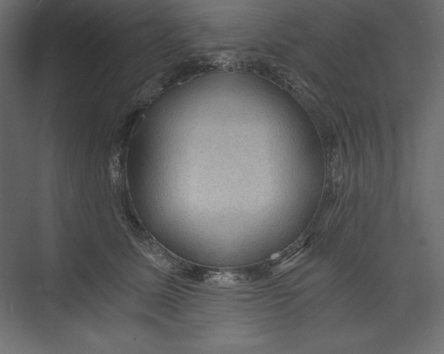 X0000073390611200608181005
