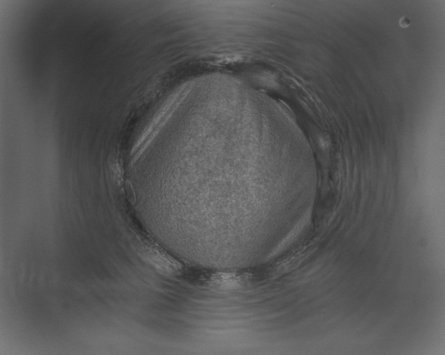 X0000073390613200608181005