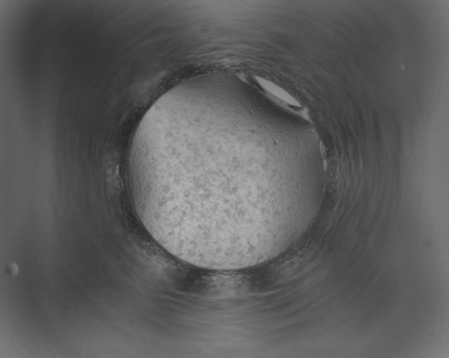 X0000073390615200608181005