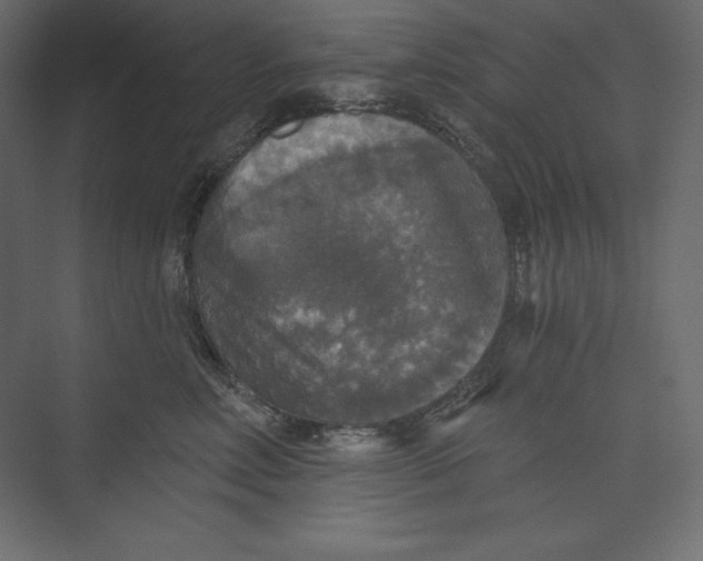 X0000073390618200608181005