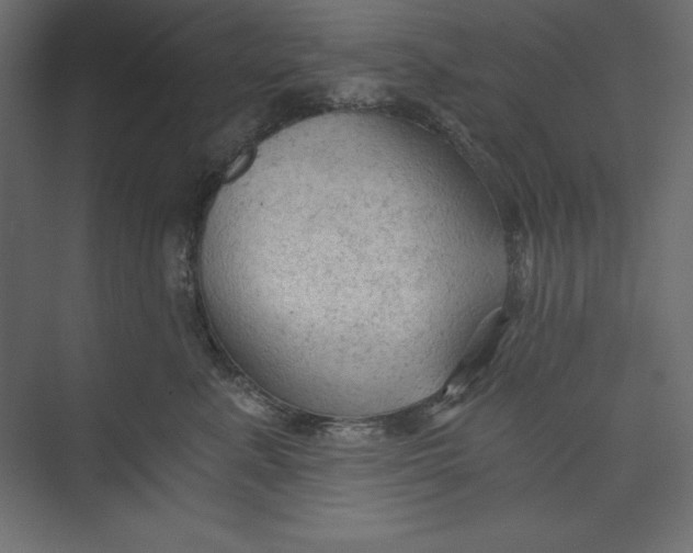 X0000073390619200608181005