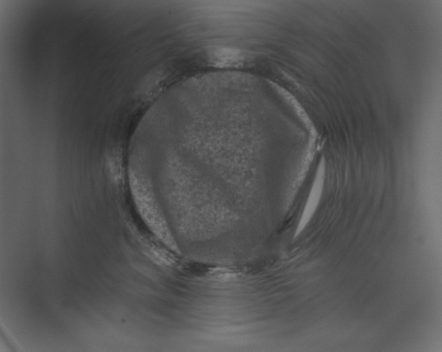 X0000073390620200608181005