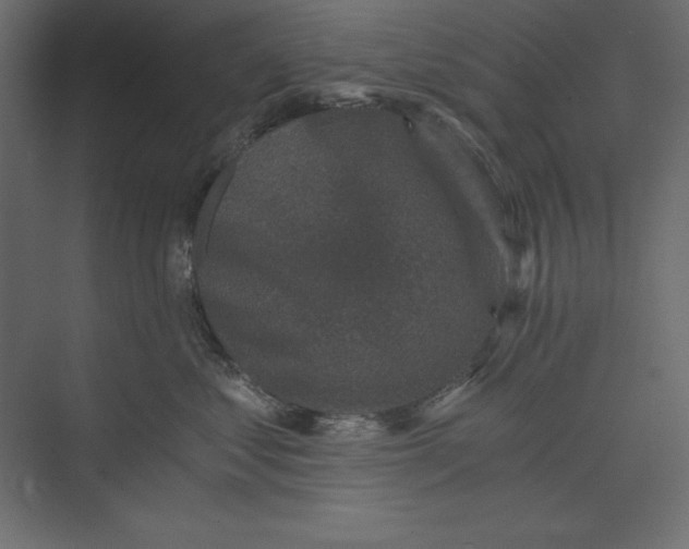 X0000073390621200608181005