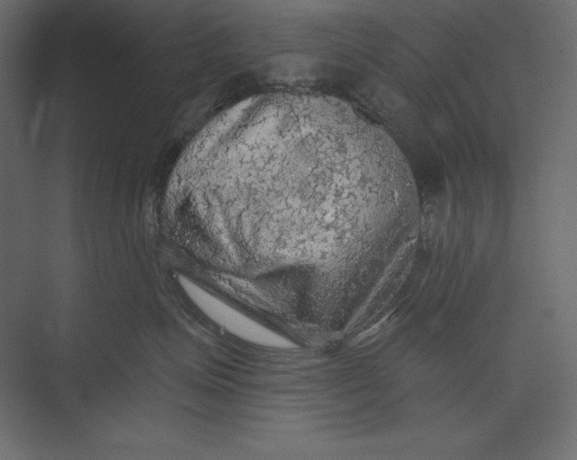 X0000073390623200608181005
