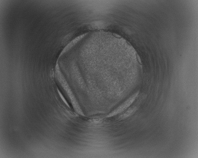 X0000073390624200608181005