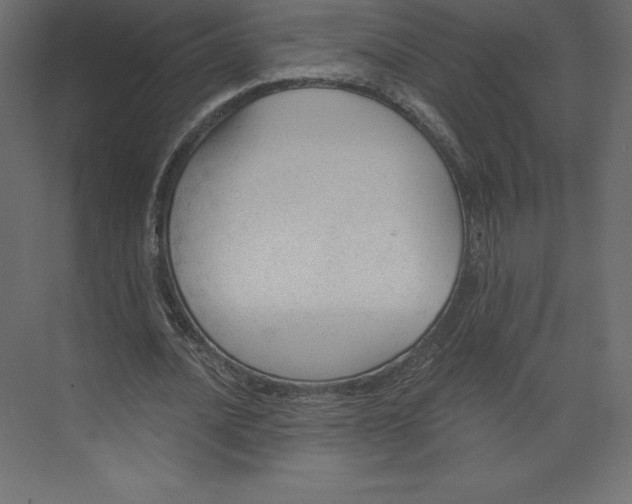 X0000073390628200608181004