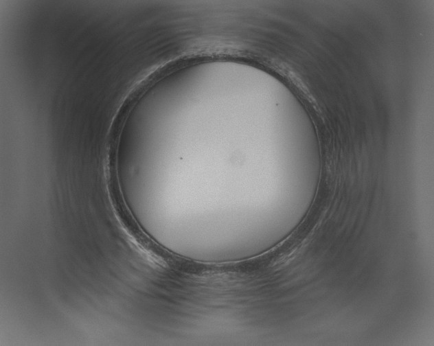X0000073390629200608181004
