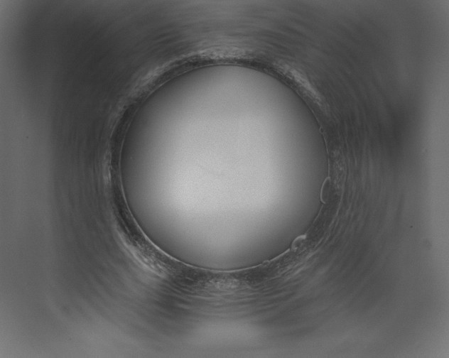 X0000073390631200608181004