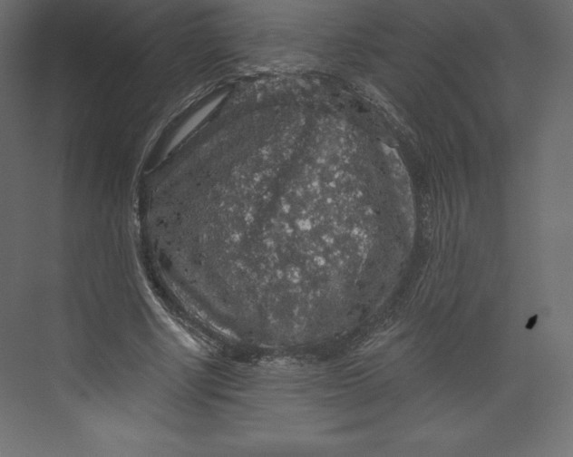 X0000073390634200608181004