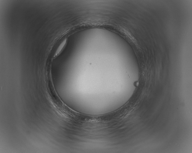 X0000073390635200608181004