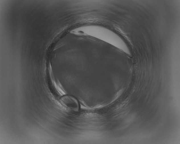 X0000073390637200608181004