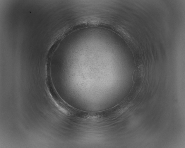 X0000073390638200608181004