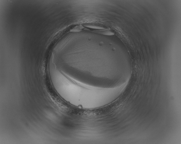 X0000073390640200608181004