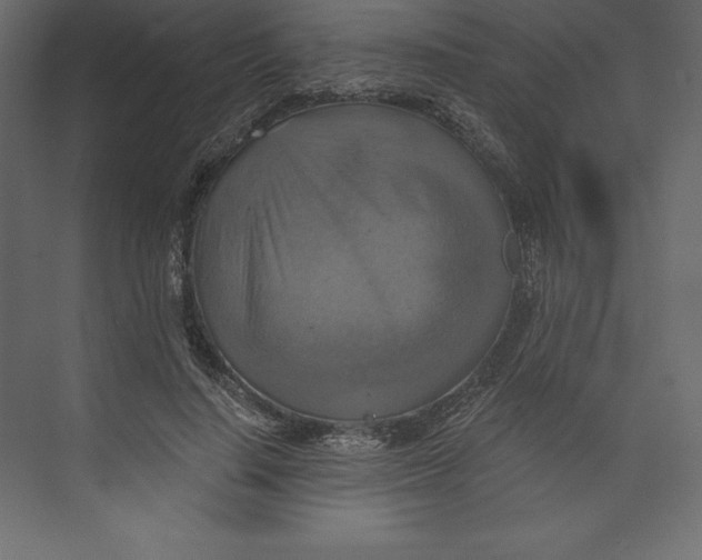 X0000073390644200608181004