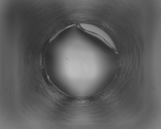 X0000073390646200608181004