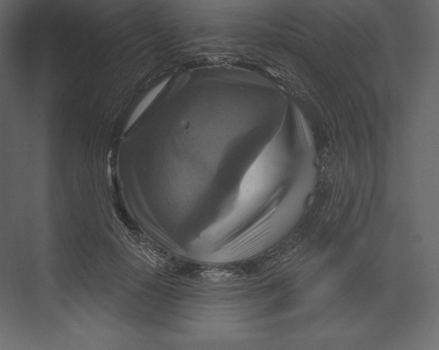 X0000073390650200608181004