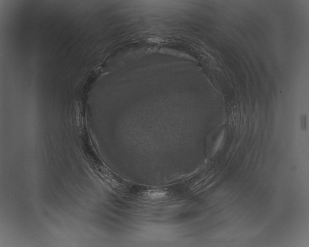 X0000073390651200608181004
