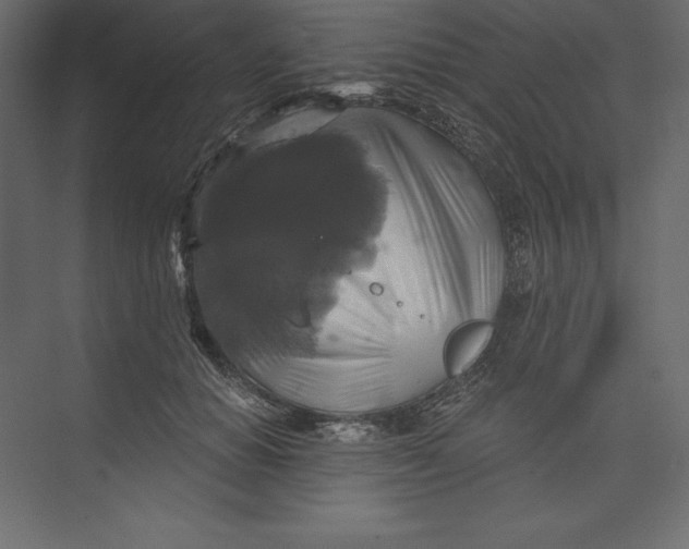 X0000073390654200608181004