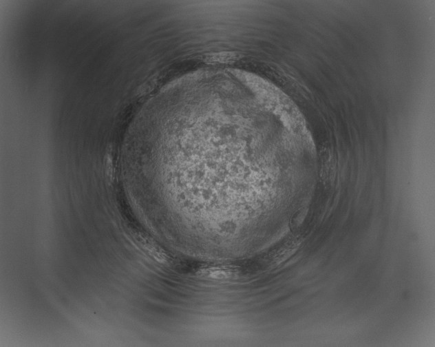 X0000073390655200608181004