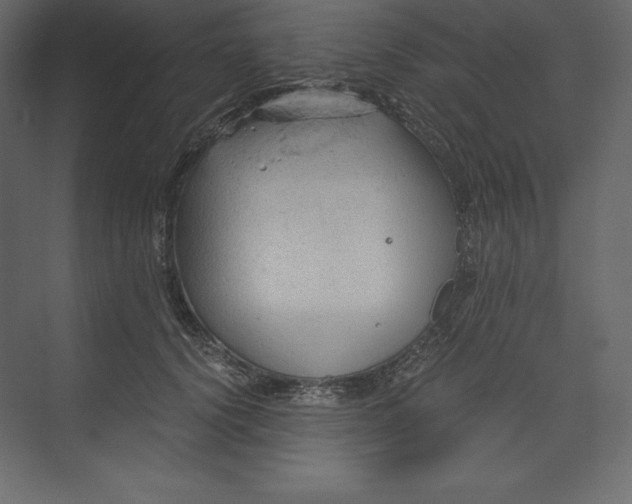 X0000073390656200608181005