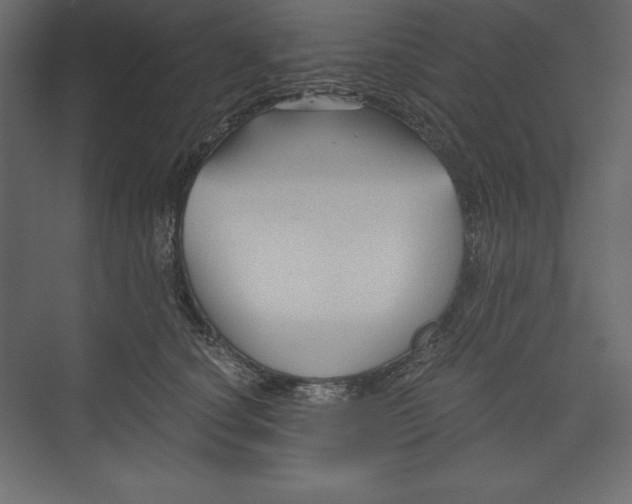 X0000073390660200608181005