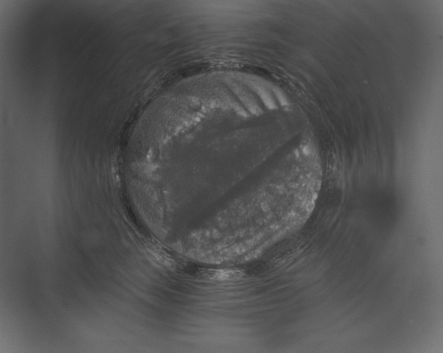 X0000073390663200608181005